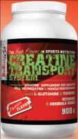 4010 Creatine Transport.jpg
